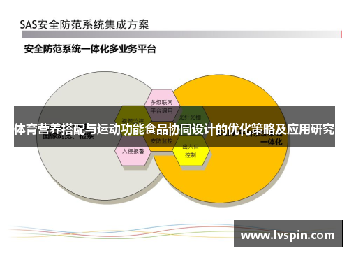 体育营养搭配与运动功能食品协同设计的优化策略及应用研究